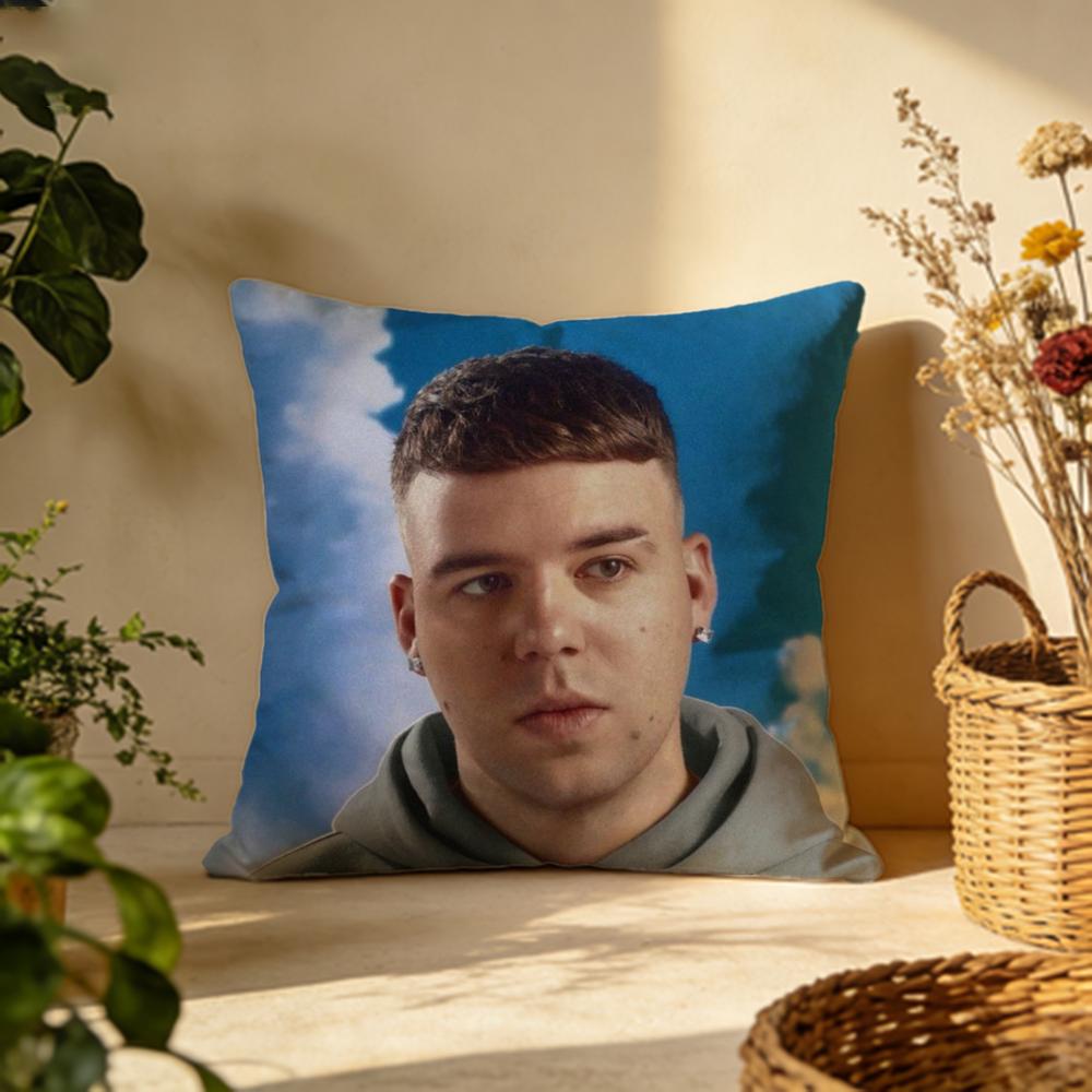 Trendy QQuevedoer Cushion Cover Versatile DoubleSided Pillow Case Fit for Sofa Bed Car  Daily Decor