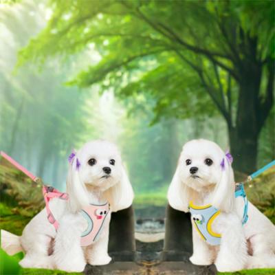 Hunde – Hundehalsbänder & Leinen