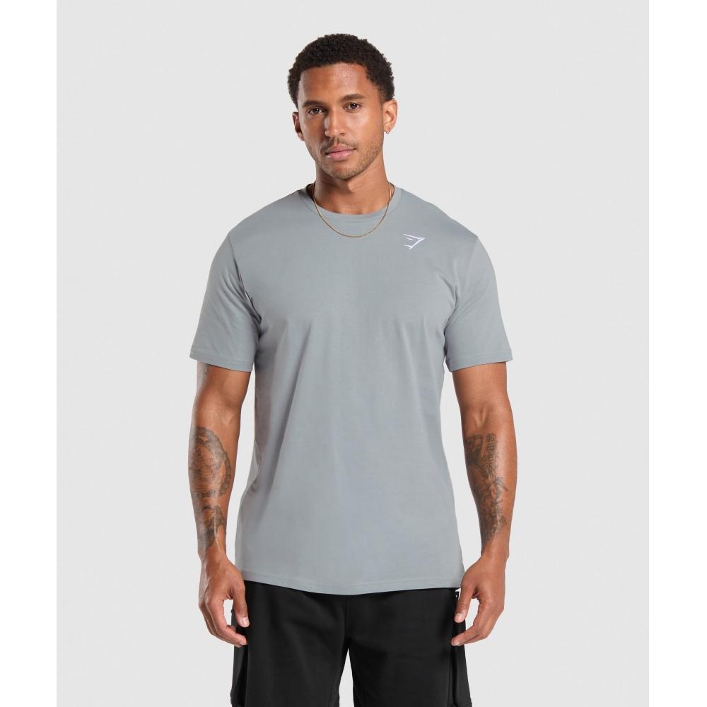 

Gymshark CresT T shirT Denim Grey A1a3j Gcqs 3XL
