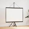 Projetores de cinema em casa – Ecrãs de projeção