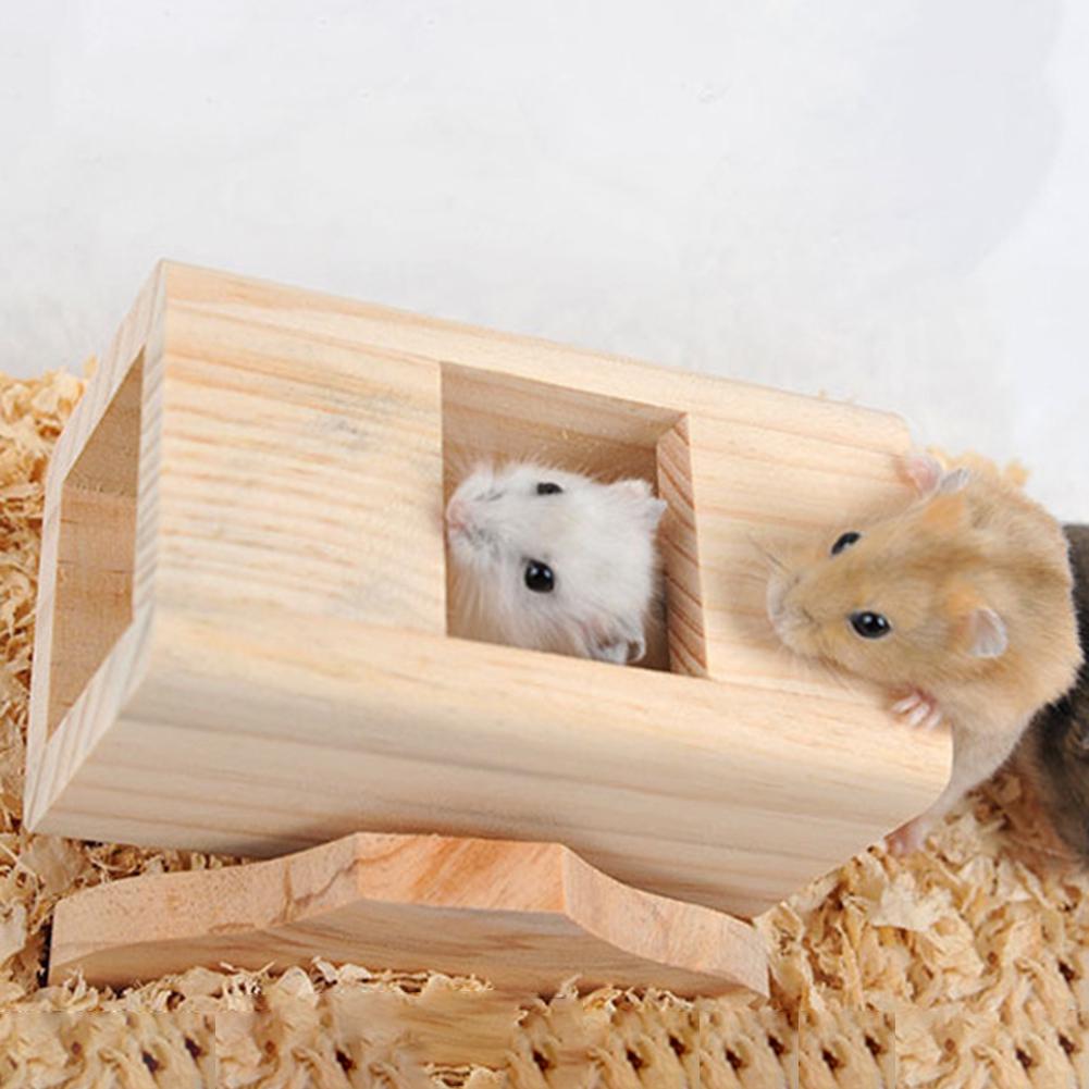 hamster exercise toys
