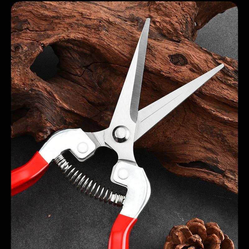 Orchard Fruit Picking Shears Picking Grapes and Melons Scissors Garden Fruit Tree Flower Branch Grafting Gardening Scissors
