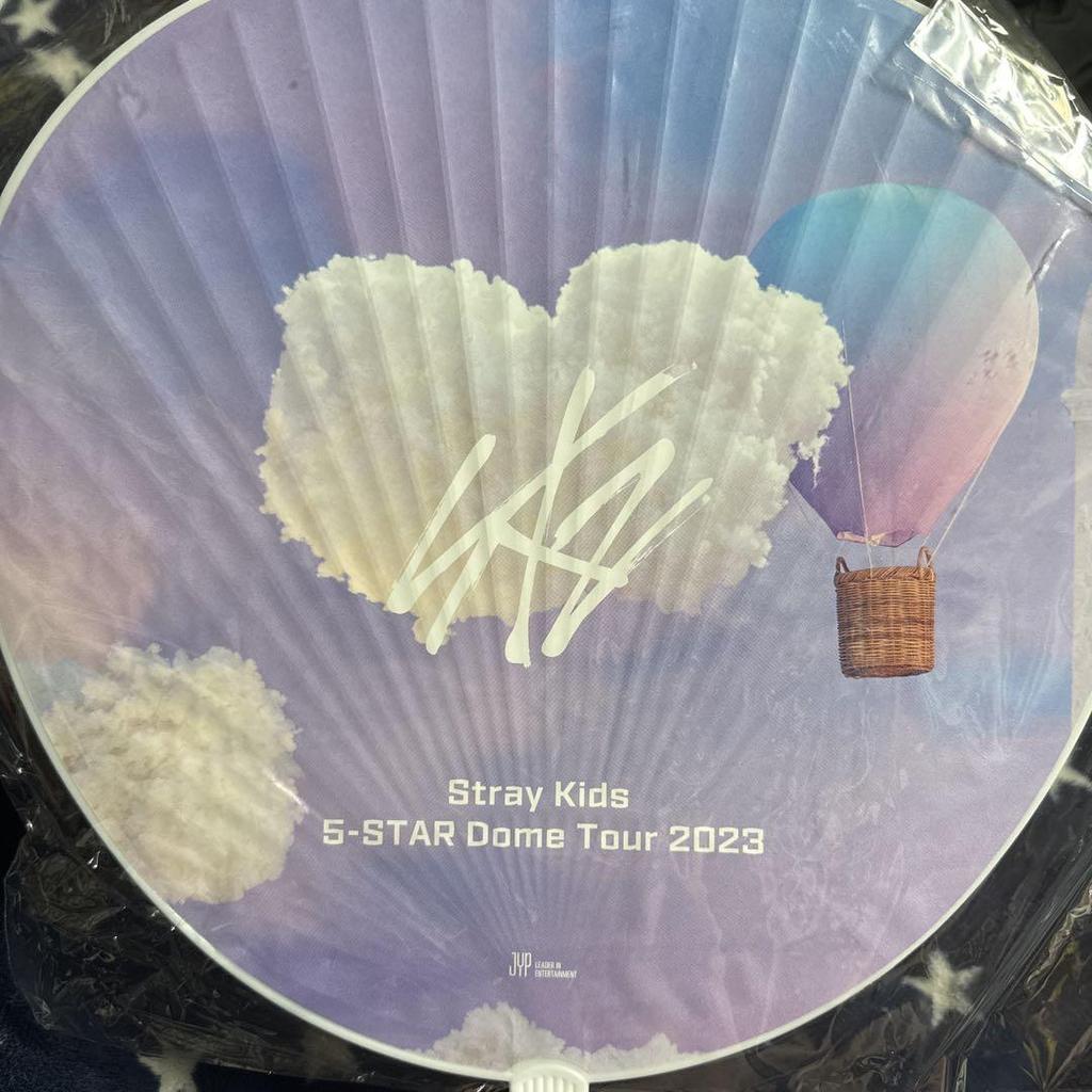 [GEBRAUCHT] StrayKids Felix-Fan