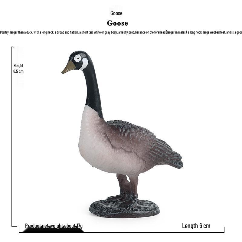 Realistic Farm Animal Models: White Goose, Swan, Chicken, Duck - Plastic Toy Ornaments for Kids