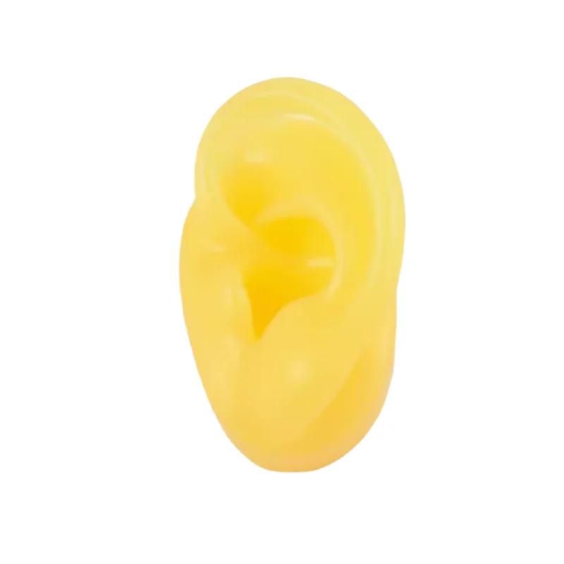 5D Silicone Simulated Artificial Ear Model Ear Stud Piercing Piercing Piercing Teaching Hearing Aid Acupuncture Practice Prop