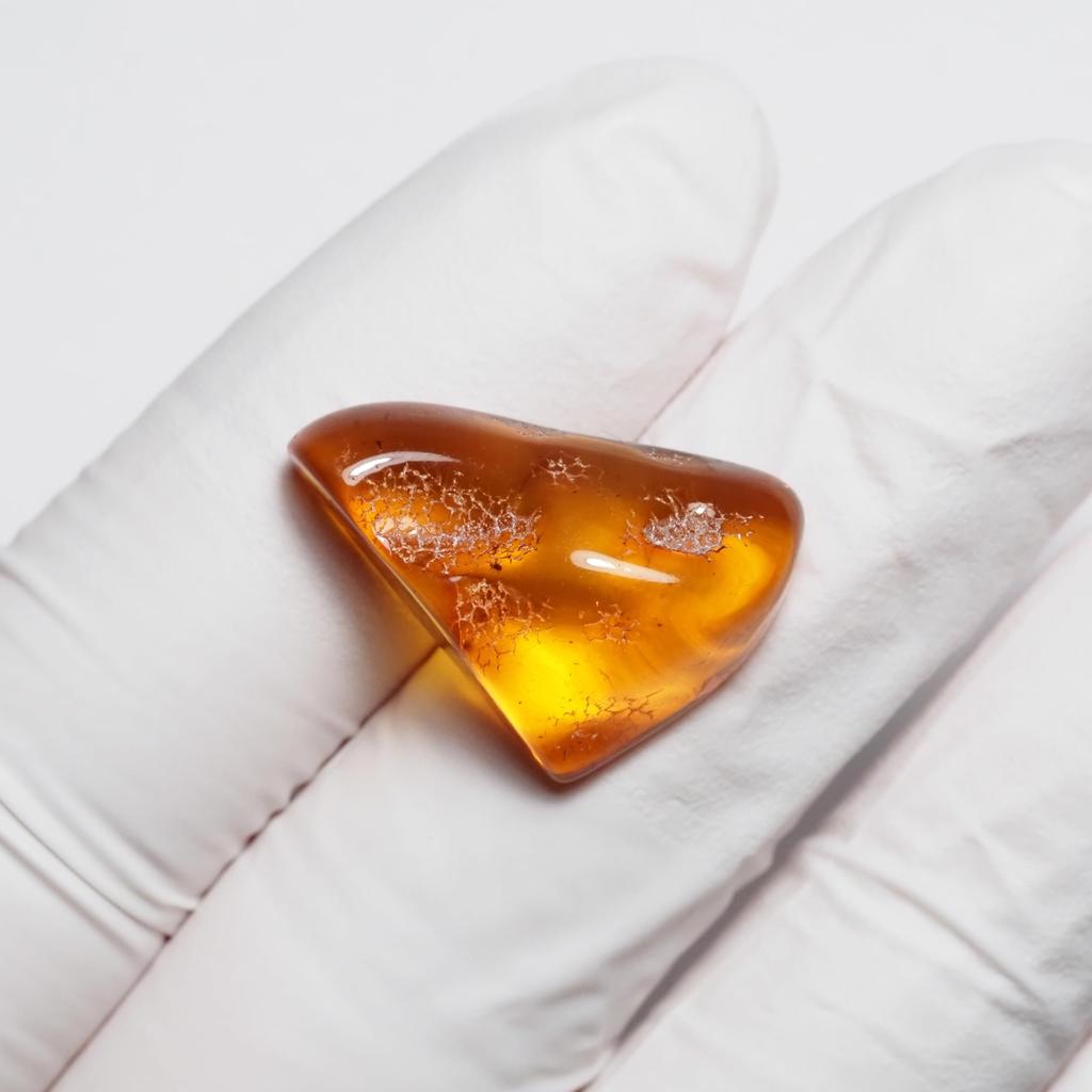 Stone Natural Fossil Amber with Insect Specimen of a 23x15x9mm [N2 Natural] - (34 "One Kind" [Amber Approx. 1.6g, Insect Approx. 1mm])