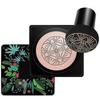 Air Cushion BB Cream Spreadability Makeup Air Cushion Air Cushion Concealer for Daily Use
