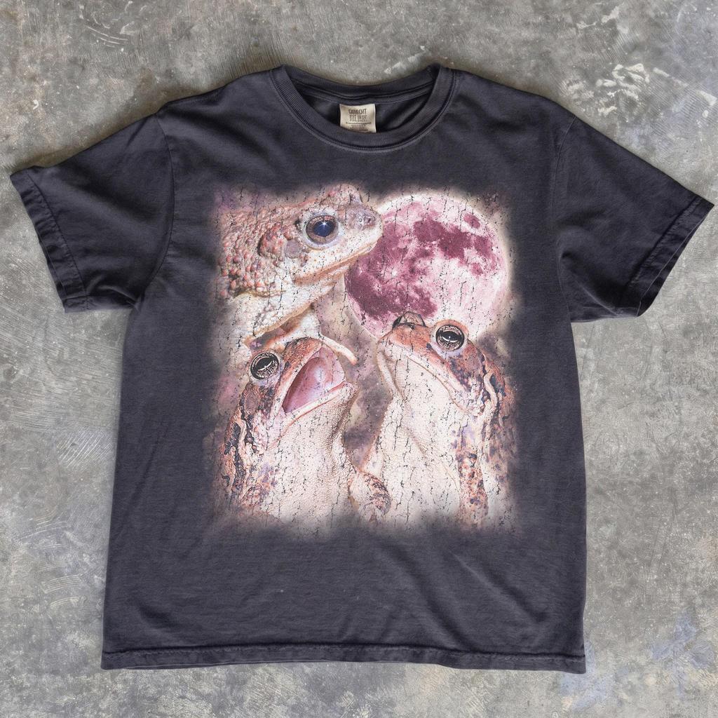 Three Toads Howling Moon Shirt, Vintage Frog Graphic Tee, Cottagecore Nature Lover