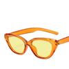 KOREAN Jennie Cat Eye Sunglasses Anti-UV Trending Sunnies Unisex