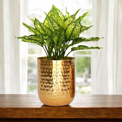 Ivara metaliniai gėlių vazonai (5 colių pločio, 6,4 colio ilgio), Maži kambariniai vazonai, namų sodo dekoras, vazonas svetainės, miegamojo interjerui