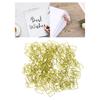 100pcs Paper Clips Christmas Gift Box Shape Increased Skid Resistance Rust Prevention Colorfast Office Paper Clips Green