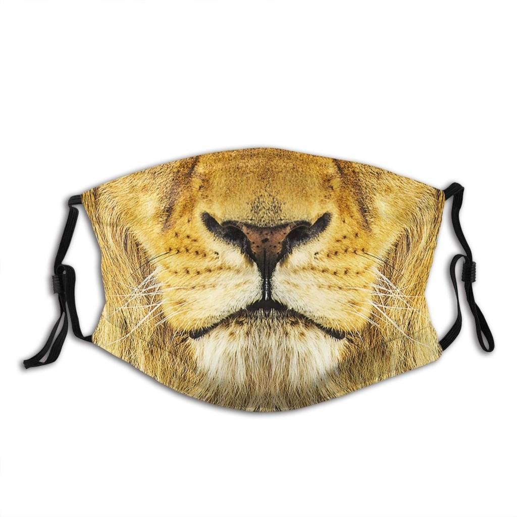 Animal Mask Funny Print Cotton Face Mask With Earloops For All Seasons