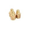 Copper M16 Medium Straight Grease Nipples