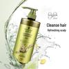 Schwarzkopf Ginger Essence Oil Control Shampoo