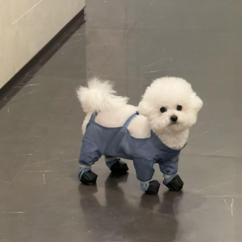 

Домашние кошки и собаки выходят на прогулку Пылезащитные штаны Средние и маленькие собаки Четыре сезона Защита от грязи Четырехногие штаны Средние и маленькие собаки XXL back length 45 recommended 15-8.5kg