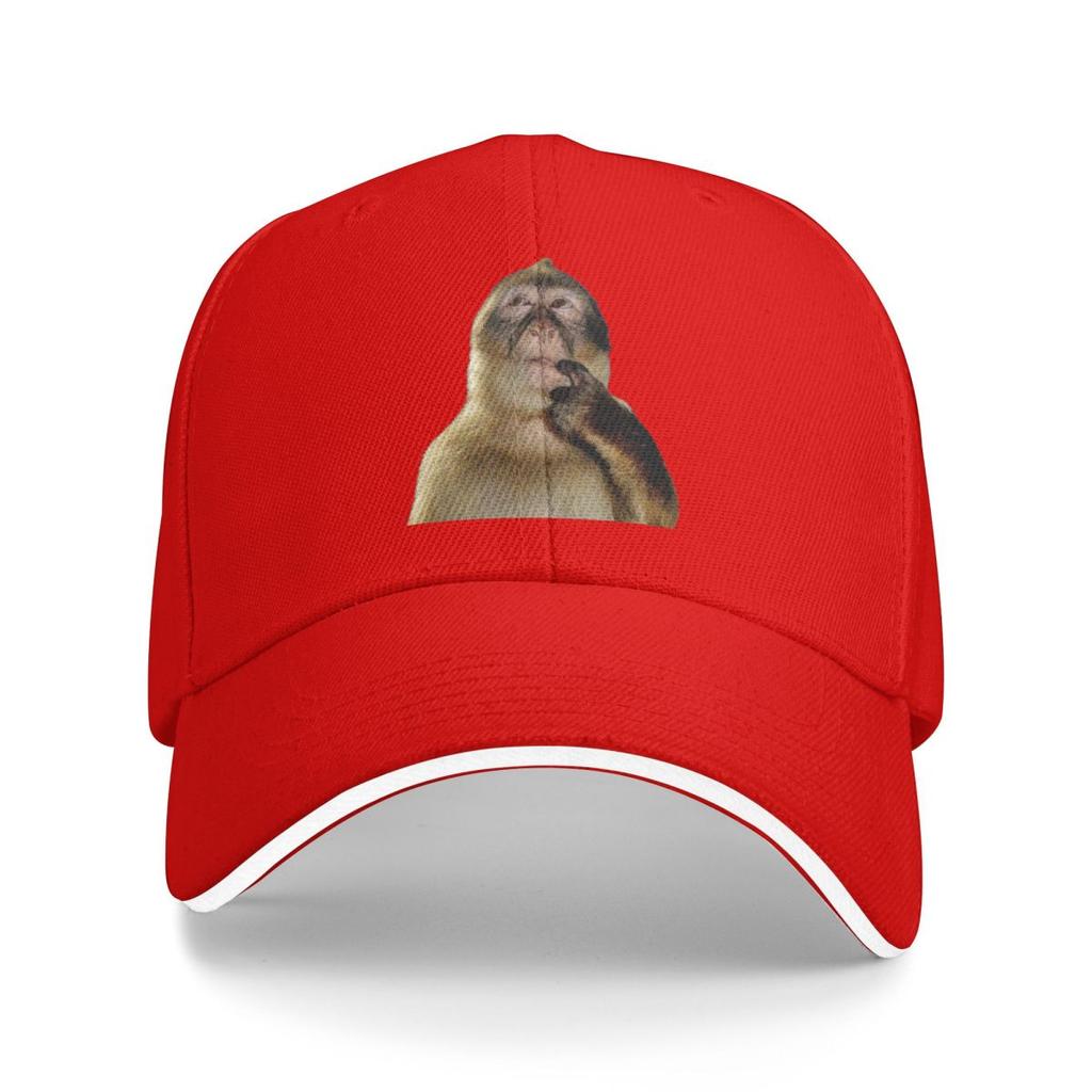 Baseball Caps Funny Monkey Thinking Meme Awesome Casquette FeUnisex Unisex Casual Summer Hats