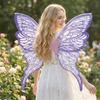 Plastic Material Fairy Wings Sparkling Elf Wings Chic Butterfly Wings  Birthday