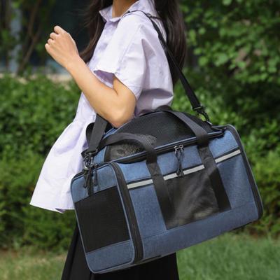 Mesh Cat Carrier Bag Pet Travel Tote with Adjustable Shoulder Strap Breathable Pet Carrier Cross Body Bag for Small Dogs Cats
