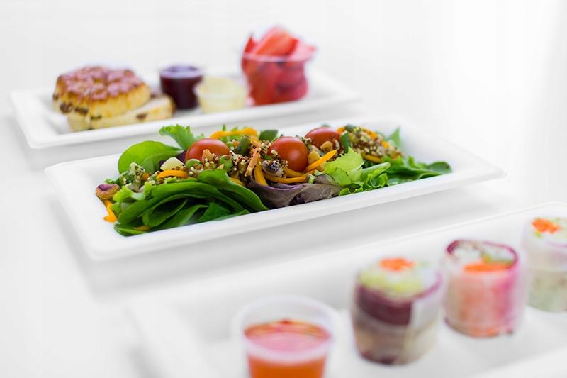 Disposable Sugarcane Tray X , Grill Catering