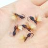 5pcs Parachute Ants Fishing Fly with Barbed Hook Aritificial Baits Float Fishing Lures Fishing Accessories for Anglers
