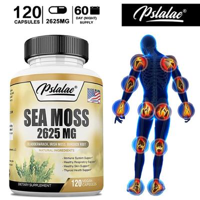 Irish Seaweed Bladder Capsules, Thyroid Support, Digestive Health, Gluten-free, Vegan, Suitable for Adults.