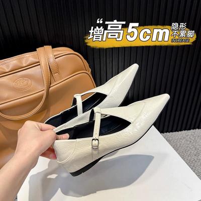 French Temperament Pointed Single Shoes Women's 2025 New Shoes Autumn Women's Low Heels with Skirts Mary Jane Loafers