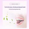 Saky Sensitive Care Toothpaste - Mugwort Essence 4-Pack