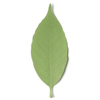 Ev Ürünleri – Ev için mekanik termometreler