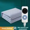 Intelligent Timed Electric Blanket Waterproof Heating Mattress Student Dormitory Temperature Regulating Electrothermal Pad