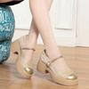 Autumn Shallow Mouth Mary Jane Shoes Soft Sole Thick Heel Retro Commuting All-match Round Head Women's Fashion Shoes