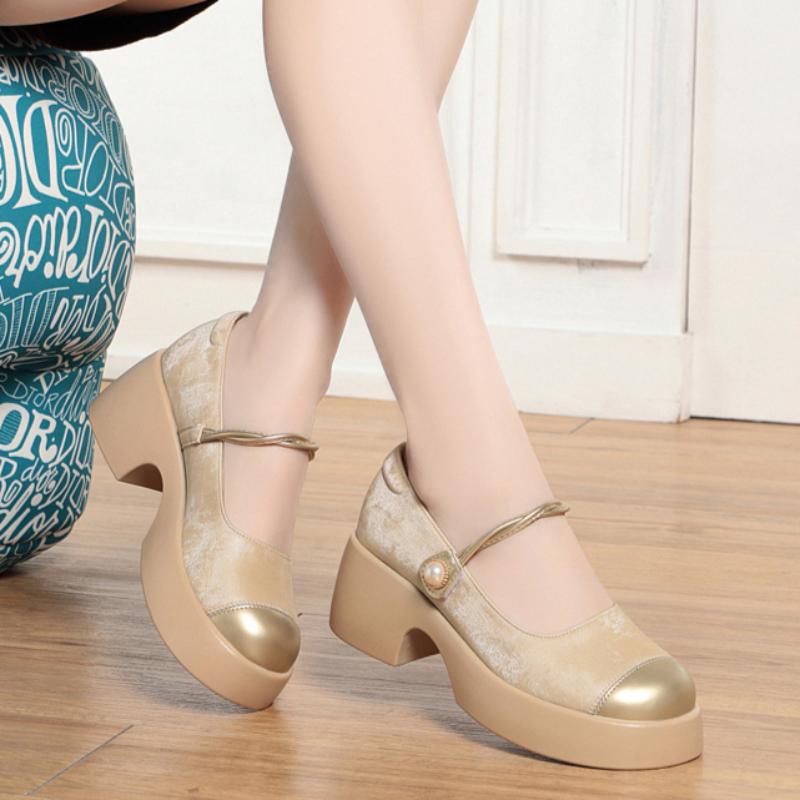 Autumn Shallow Mouth Mary Jane Shoes Soft Sole Thick Heel Retro Commuting All-match Round Head Women's Fashion Shoes