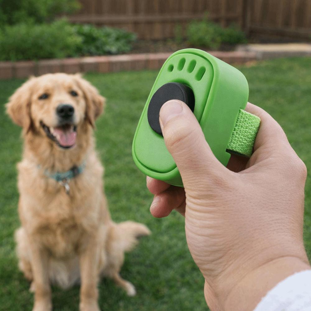 Professional Pet Clicker Trainer Lightweight Obedience Rattle Trainer for Dogs Cats