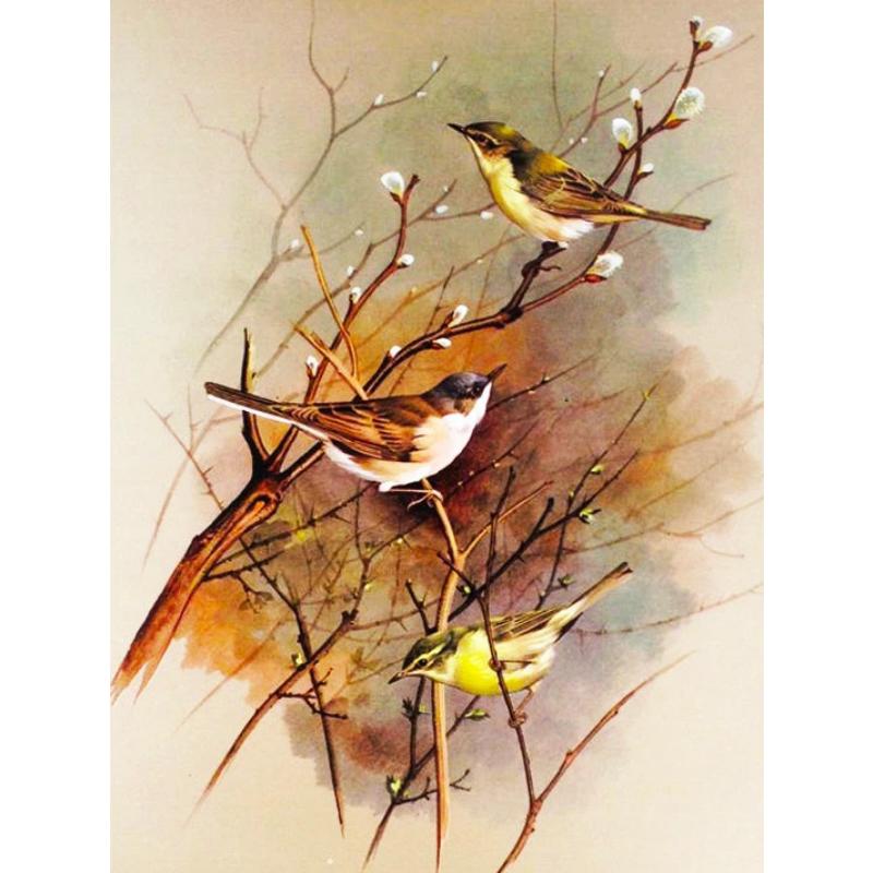 Canvas paintings, animals, birds, home decor, gift craftsmanship, living room, bedroom, wall decoration
