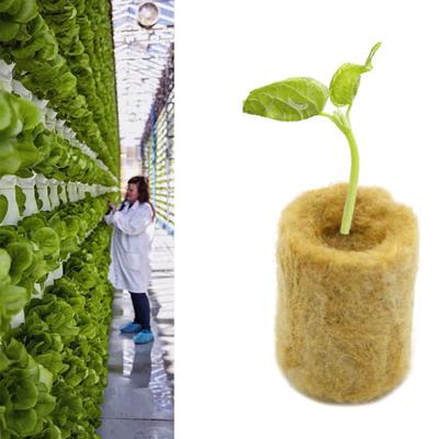 50Pcs Plant Grow Cube Breathable Water Absorption Soilless Planting Hydroponic Starter Sponge Gardening Gadget