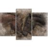 Three Piece Picture Canvas Print Horses Animals Brown