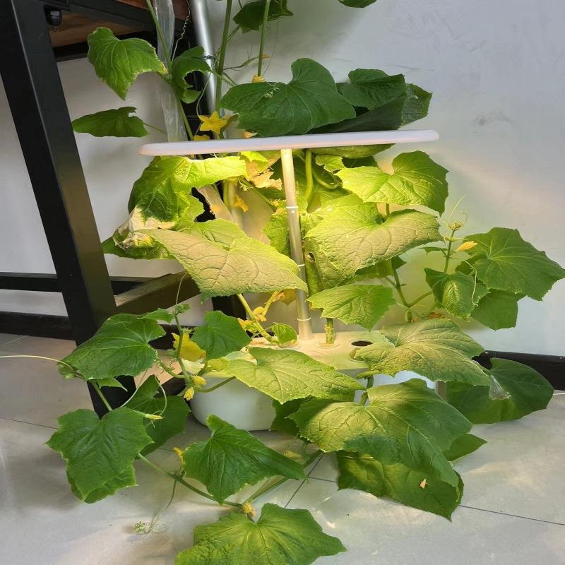 Smart Plant Growth Light Light Full Spectrum Plant Plant Plant Machine Hydroponický sázecí stroj