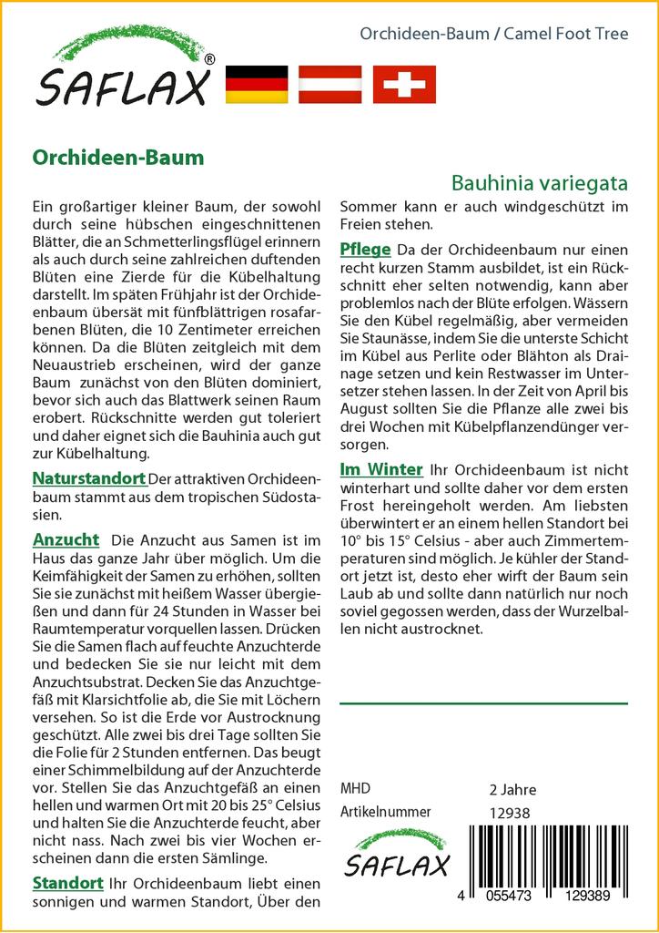 SAFLAX Camel Foot Tree - 8 Seeds - Bauhinia Variegata