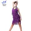 Latin Dance Performance Dress Sequin Fringe Skirt Stage Events Adult Sexy Costume