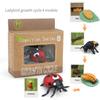 Toys Model Educational Simulated Animal Card Set Insect Plant Growth Cycle Cognitive Montessori Parish Home Open Learning Kids