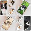 Beautiful Fun Border Collie Dog Puppies Cell Phone Case for Samsung Galaxy S26 Ultra S25 S24 S23 S22 S21 S20 Note10 Cover