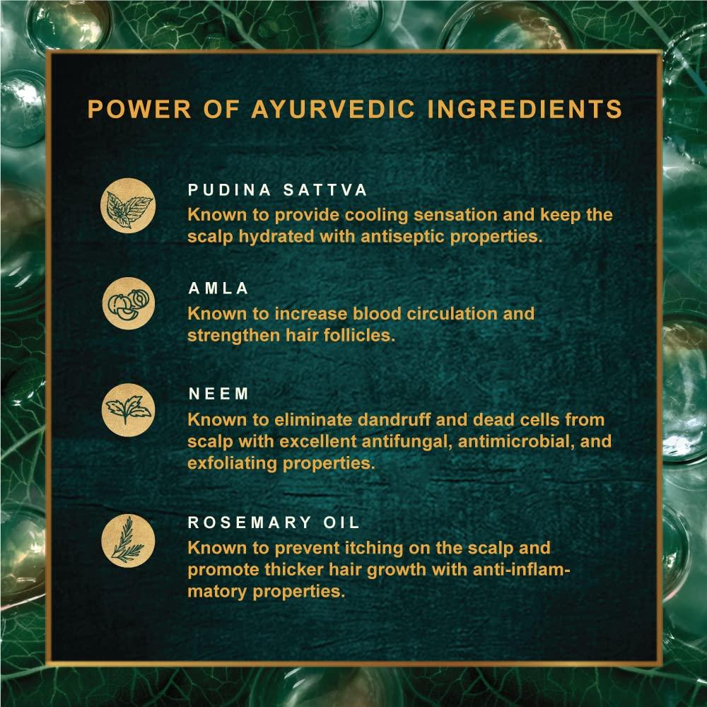 Indulekha Szampon Przeciwłupieżowy 580 ml Dla Zdrowia Skóry Głowy, Kontrola Oleju, Łagodzenie Swędzenia, Rozmaryn i Amla, Bez Parabenów, Dla Mężczyzn i Kobiet