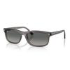 Light Grey Lens Width 0RB2224F Ray-Ban Sunglasses, Unisex, frame/Opal Grey, lens/Crystal Gradient, 57mm,