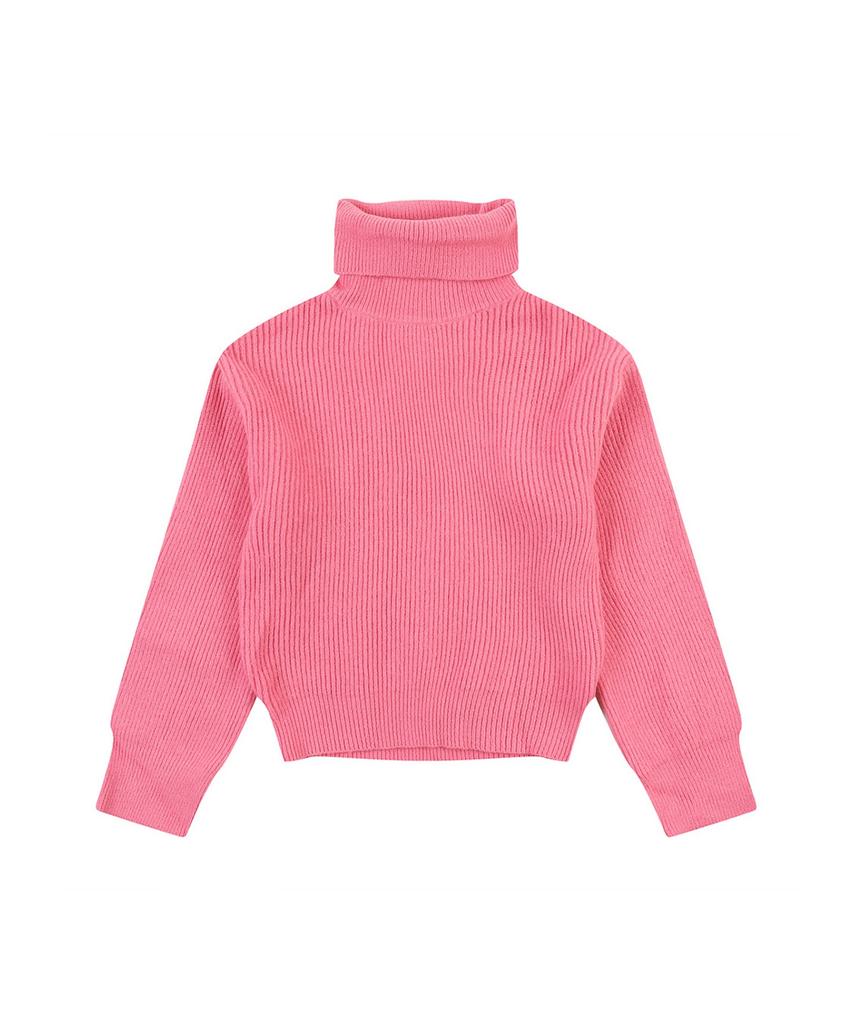VANAKE Basic Turtleneck Knit_Vb41Ktq319Z