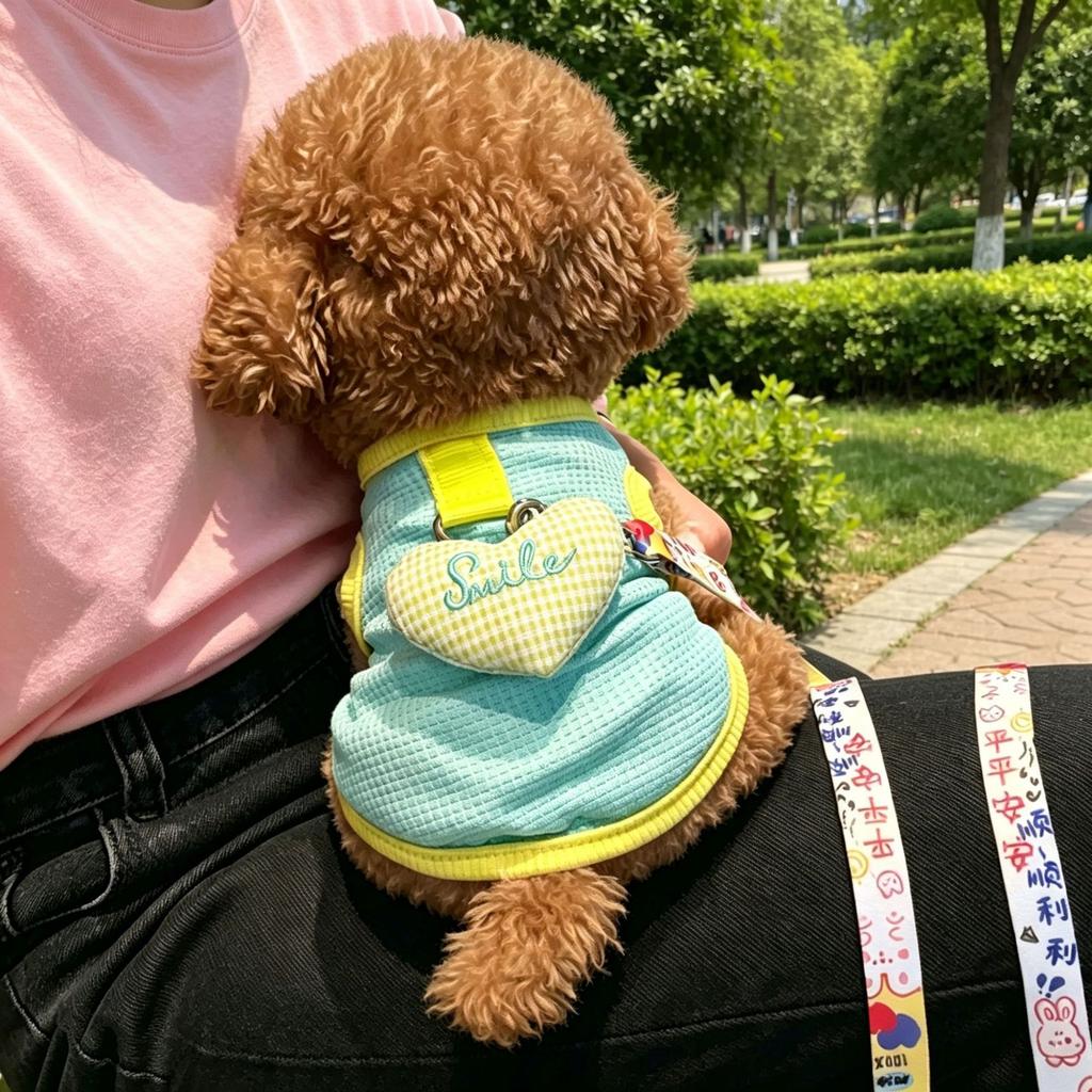 Cat dog clothes spring and summer pet British short blue cat anti-hair loss breathable sun protection tractable teddy bear vest