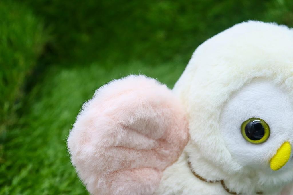 Startmuster Eule S Niedliche Eule mit ausgebreiteten Flügeln und Stofftier rosa Kiste flatternd, [Musik enthalten]