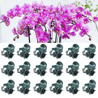20/100Pcs Orchid Clips Plant Support Clips Flowers Vine Clips Stem Vine Growing Uprightly Growing Stem Vine Support Clips