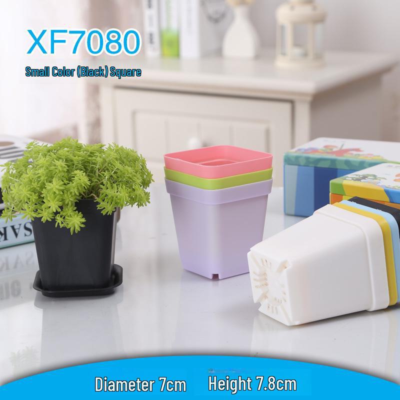 Colorful 7cm Square Succulent Pot - Small Black & White Plastic Planter for Seedlings & Cuttings
