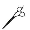 DEEDS GTZ Black Titanium Scissors by Japanese Scissors Manufacturer Professional Thinning Shears [PF] (5.5 Inches) / Hairdresser, Hairdresser,