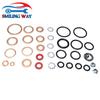 Injector Pump Repair Kit For CAV DPA Lucas Ford IH IMT JCB John Deere Landini Leyland Long Mahindra Massey-Ferguson Perk
