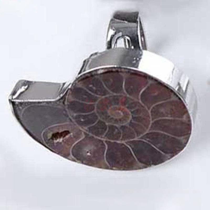 Unique Adjustable Ring Fashion Natural Ammonite Reliquiae-Finger Ring Jewelry Natural Fossil-Shell-Ring Women Girl Teen
